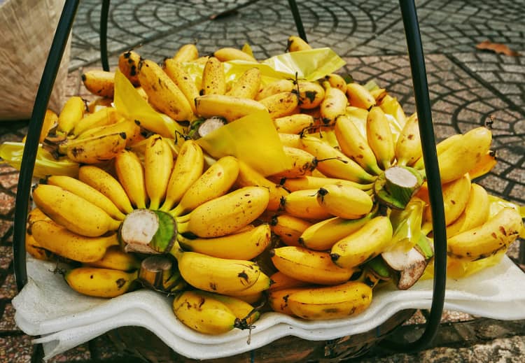 Banana-Bajiao